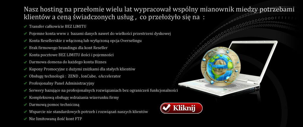 Profesjonalny hosting kontra home